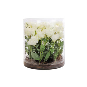 Lisianthus Flower Arrangement